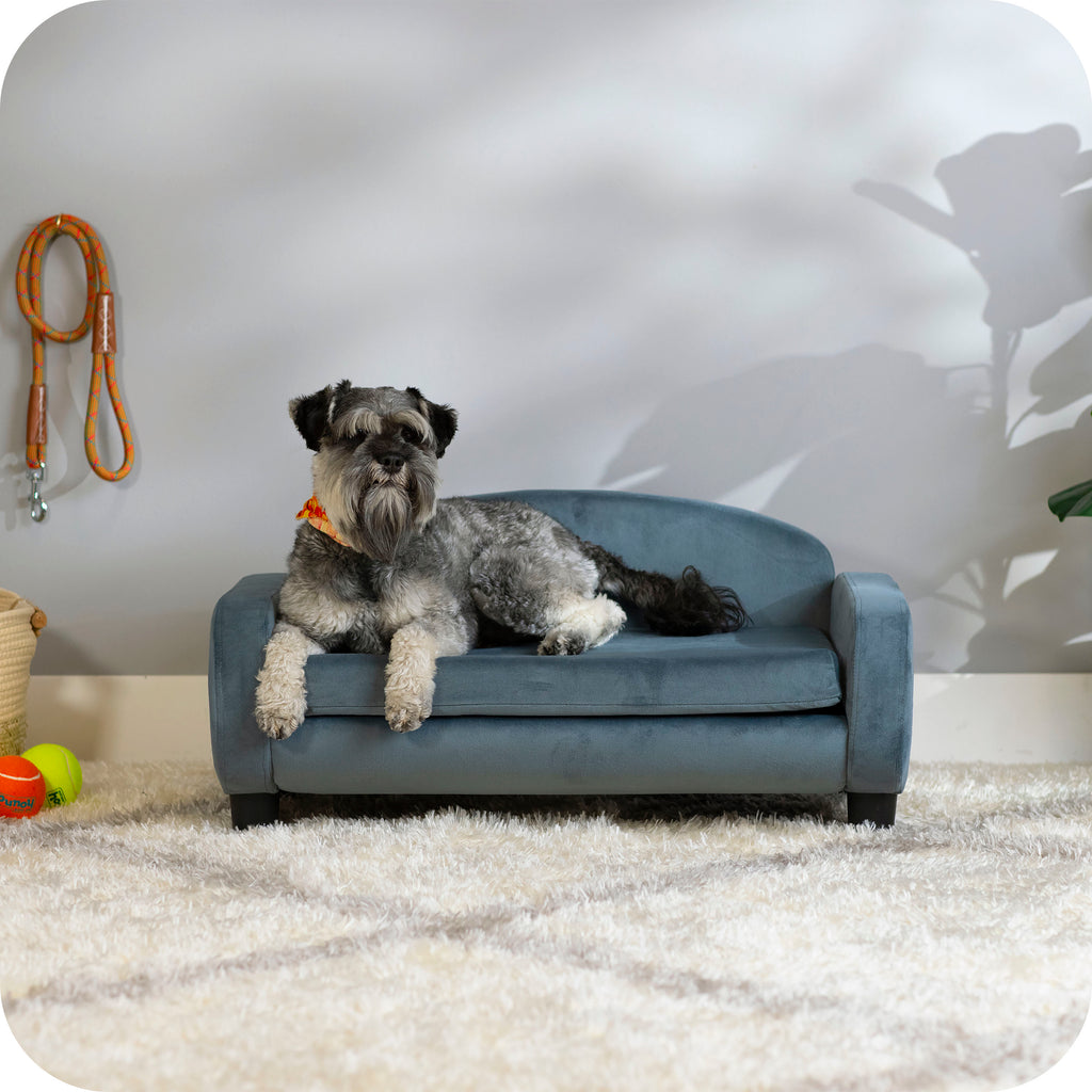 Pet Sofa Bed Small for Cats and Small Dogs, Cornflower 61015