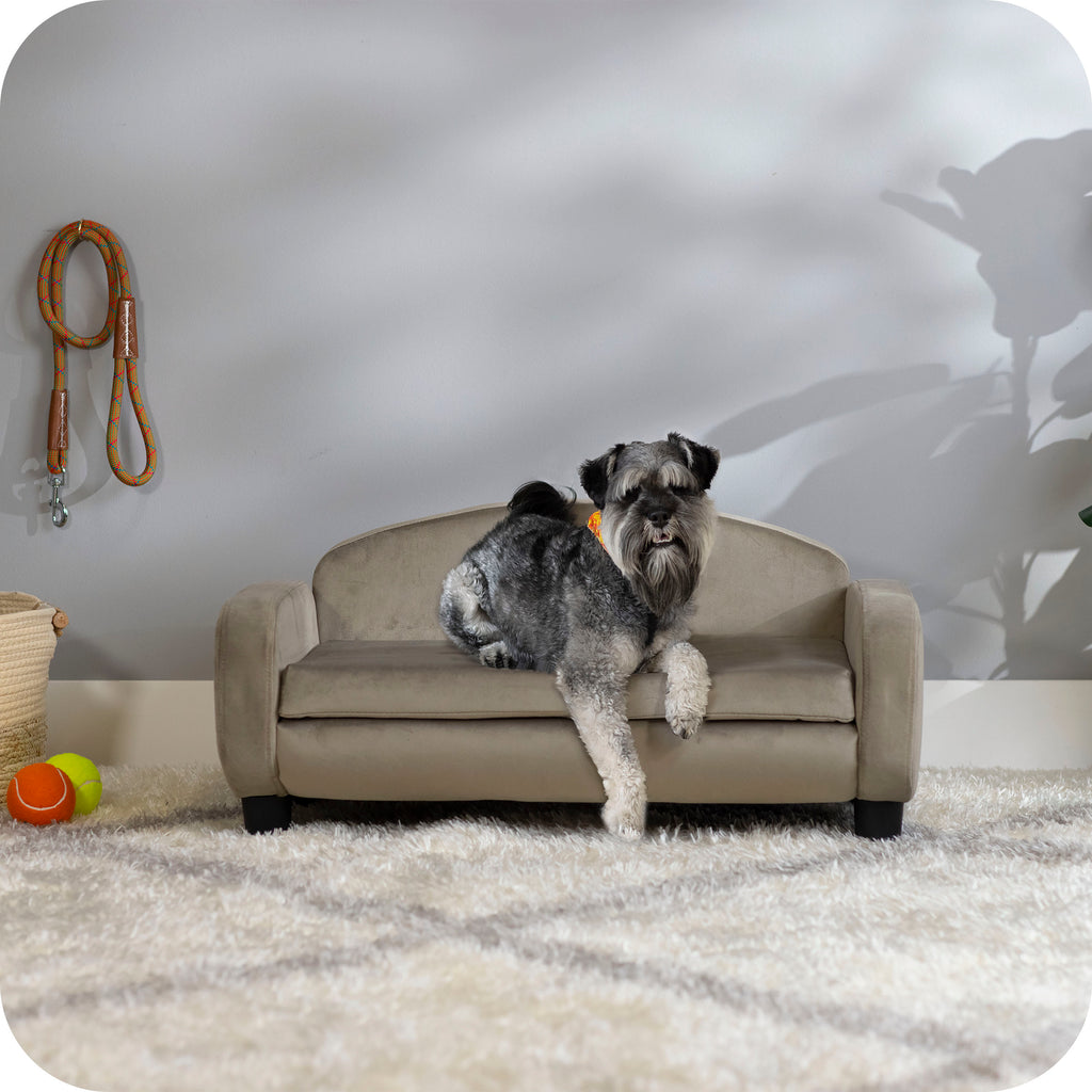 Pet Sofa Bed Small for Cats and Small Dogs, Ash 61016