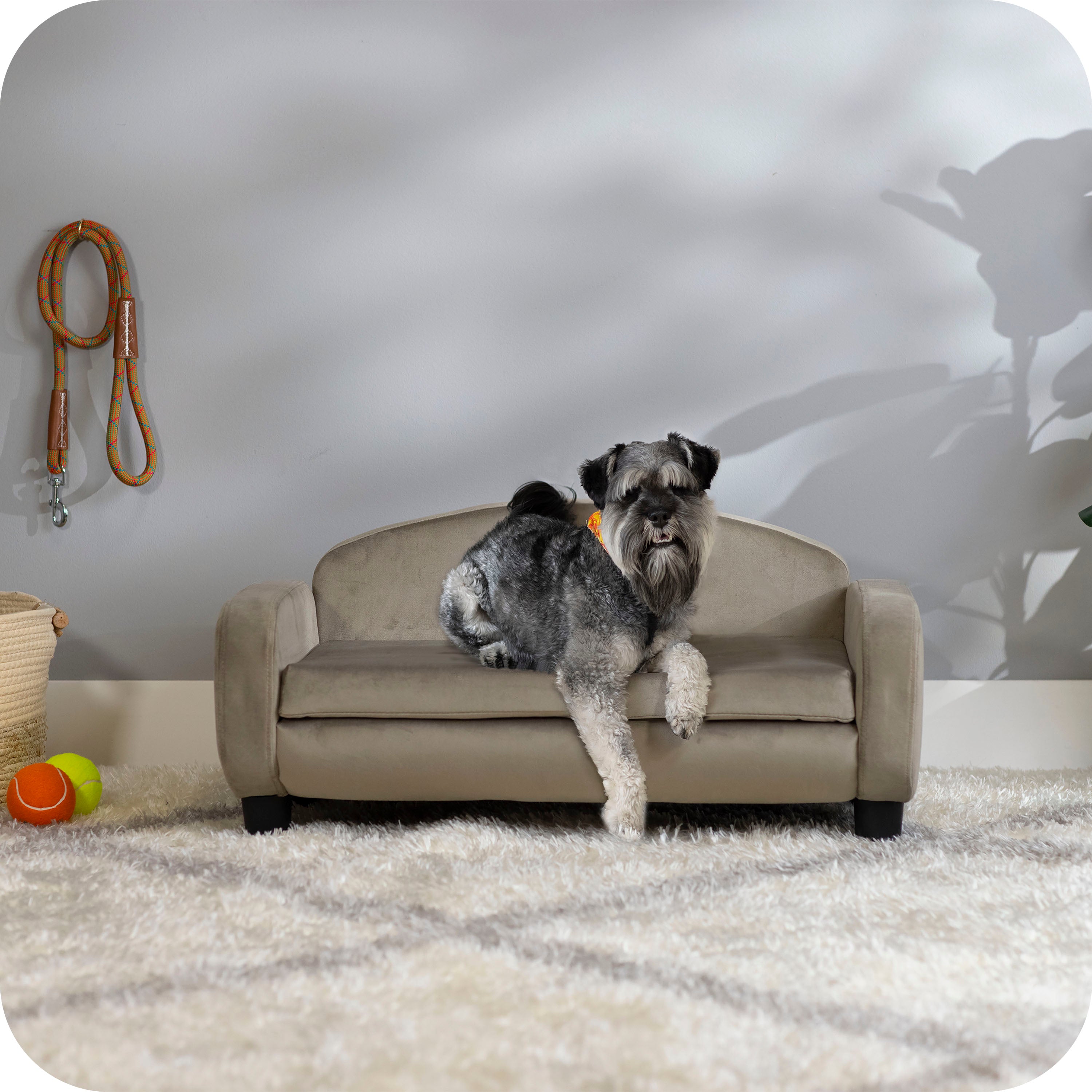 Pet Sofa Bed Small for Cats and Small Dogs, Ash 61016