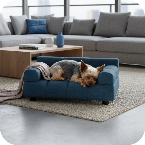 Pet Couch for Small to Medium Pets, Dark Blue 61054