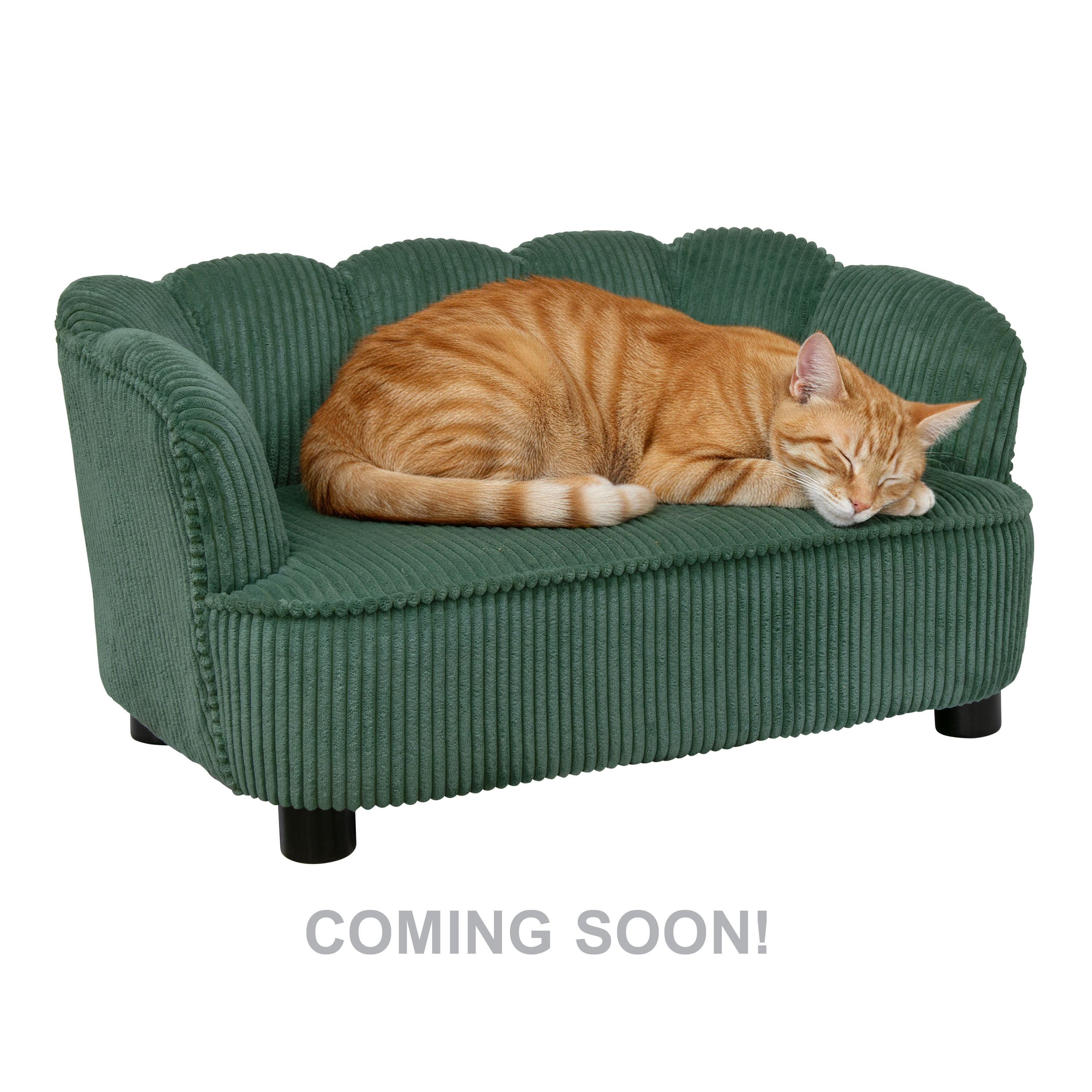 Pet Couch Scallop Shape for Small to Medium Pets, Sage 61057