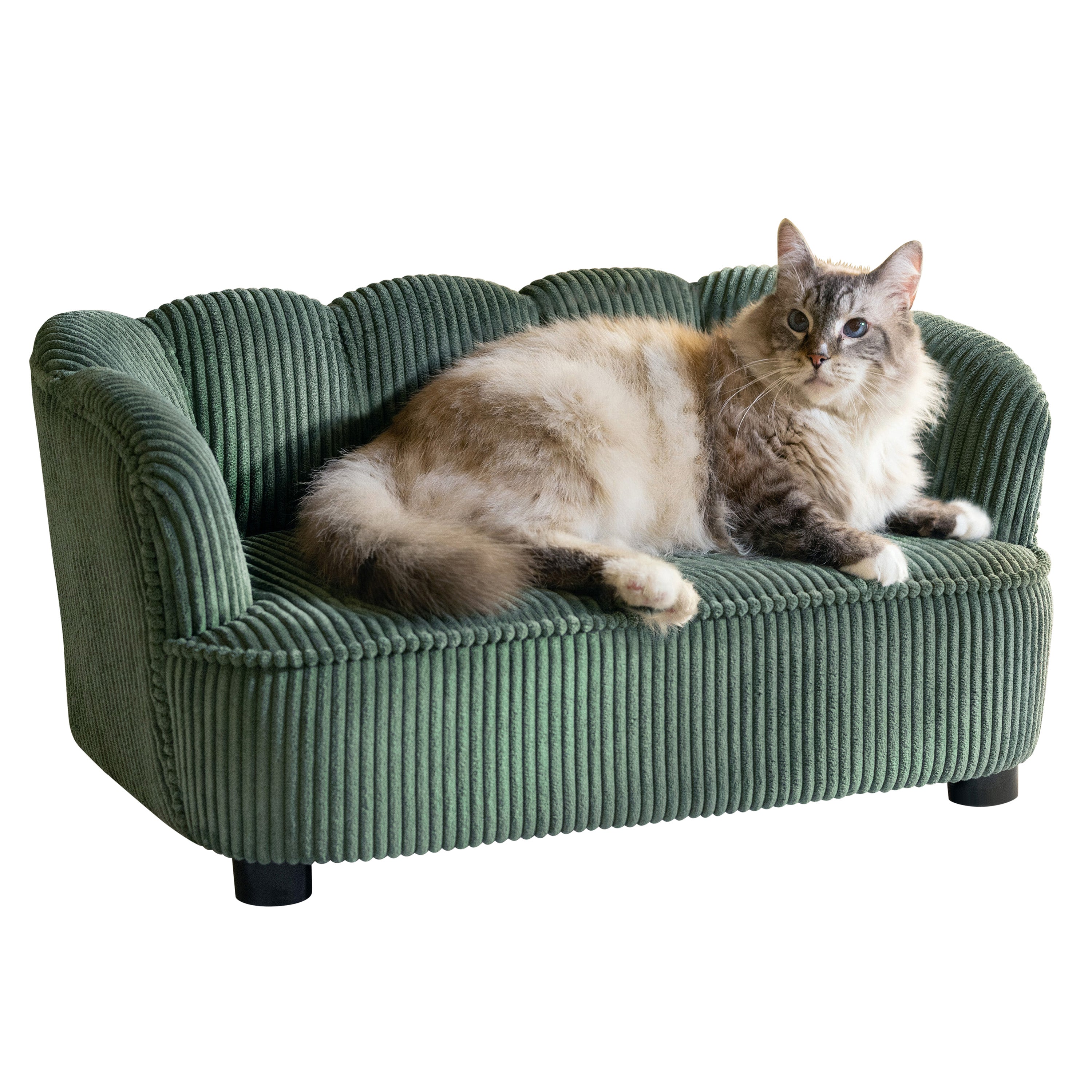 Pet Couch Scallop Shape for Small to Medium Pets, Sage