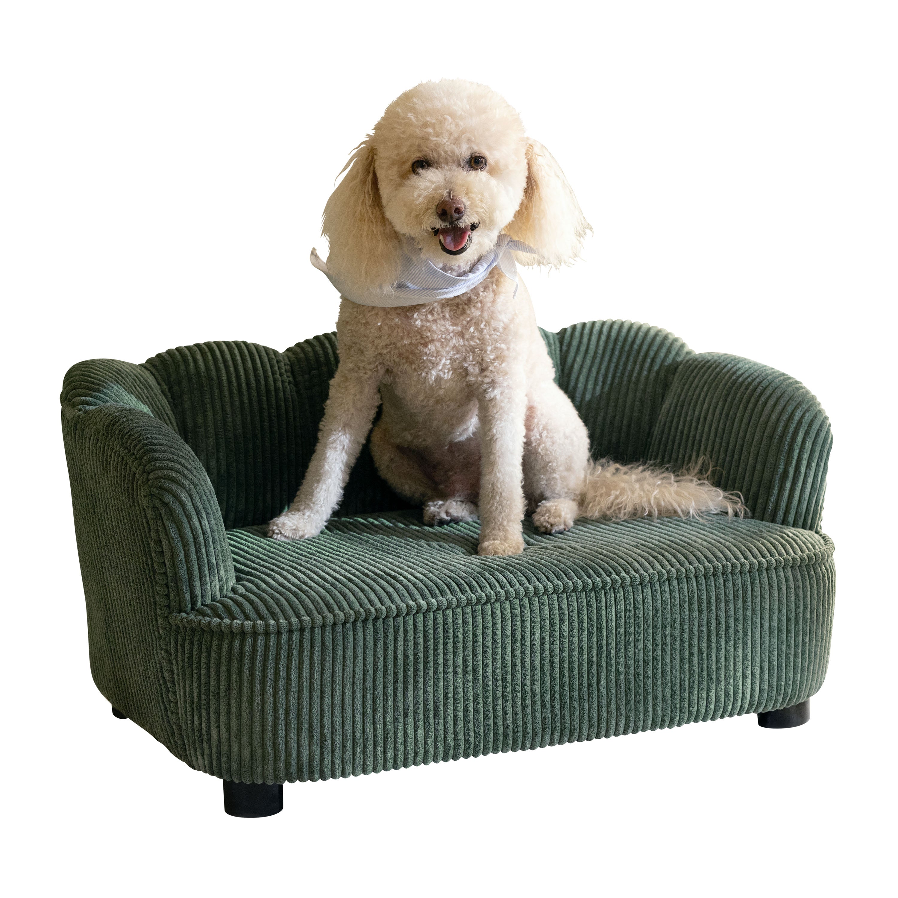 Pet Couch Scallop Shape for Small to Medium Pets, Sage