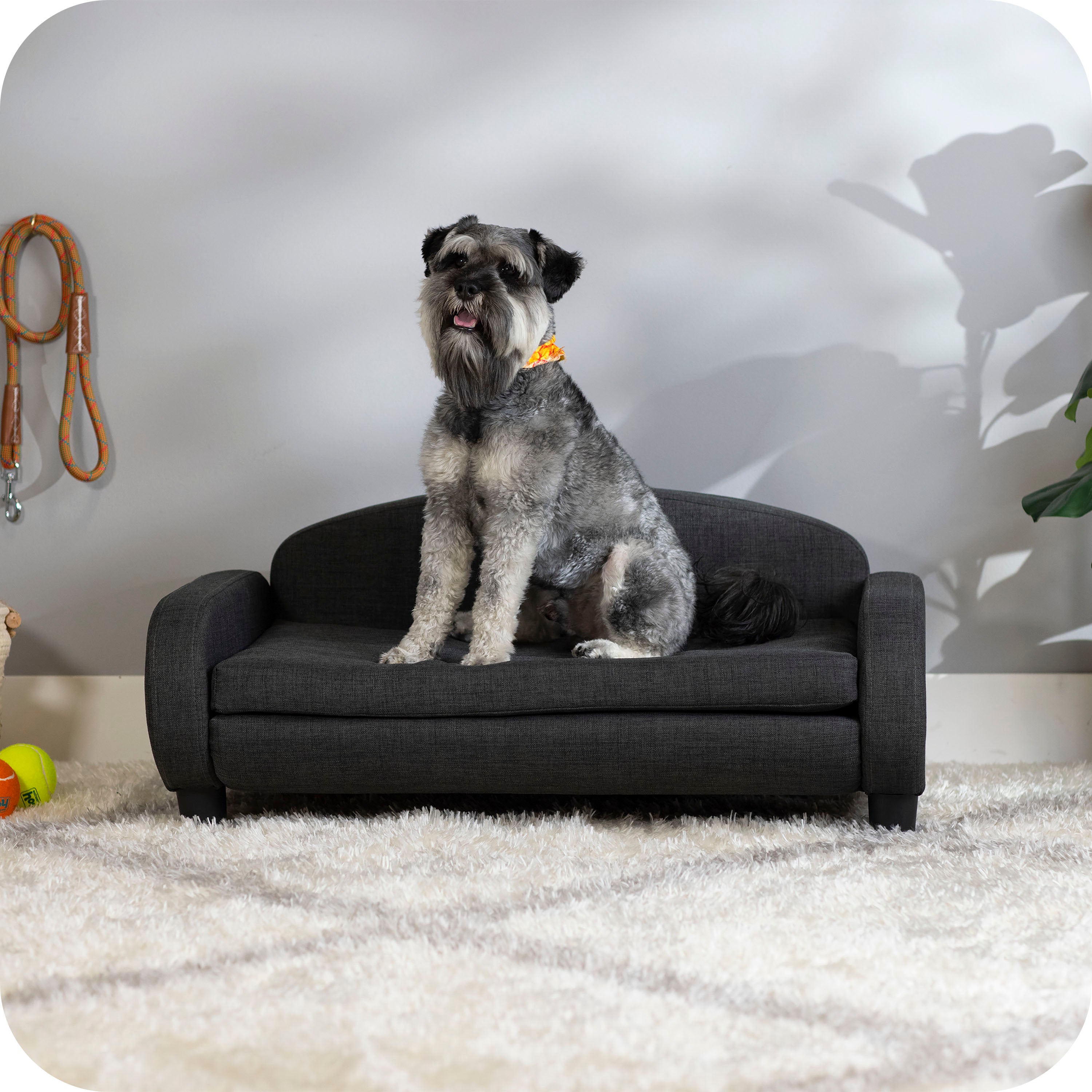 Pet Sofa Bed <strong>Medium</strong> for Small and Medium Dogs, Dark Gray 61100