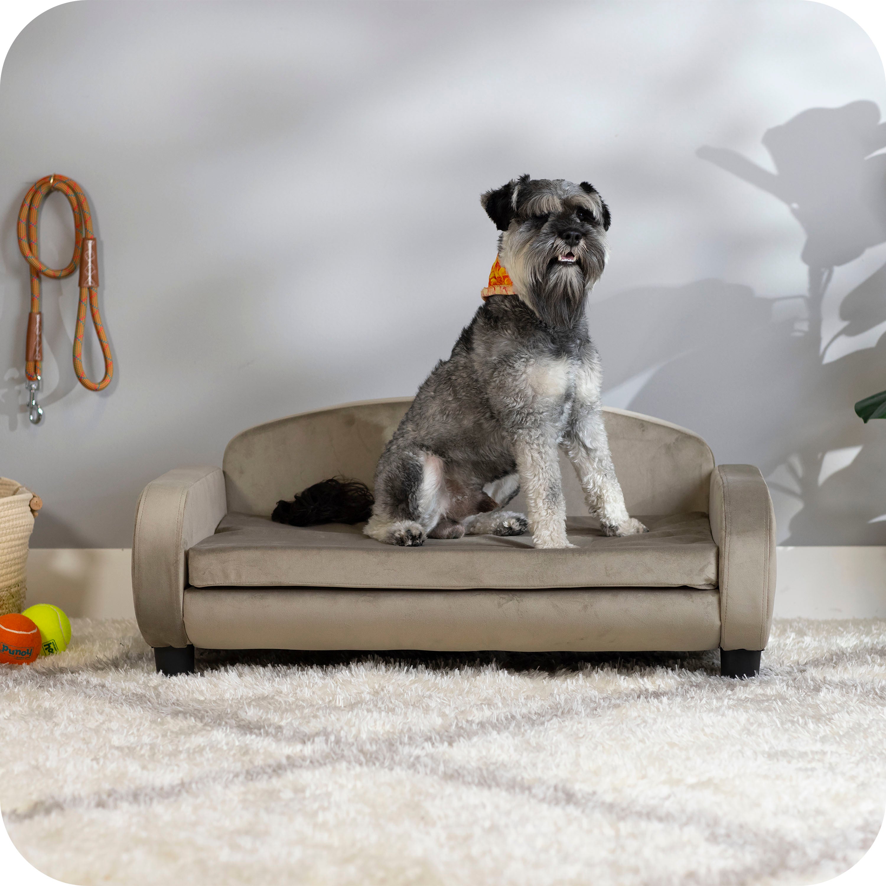 Pet Sofa Bed <strong>Medium</strong> for Small and Medium Dogs, Ash 61101