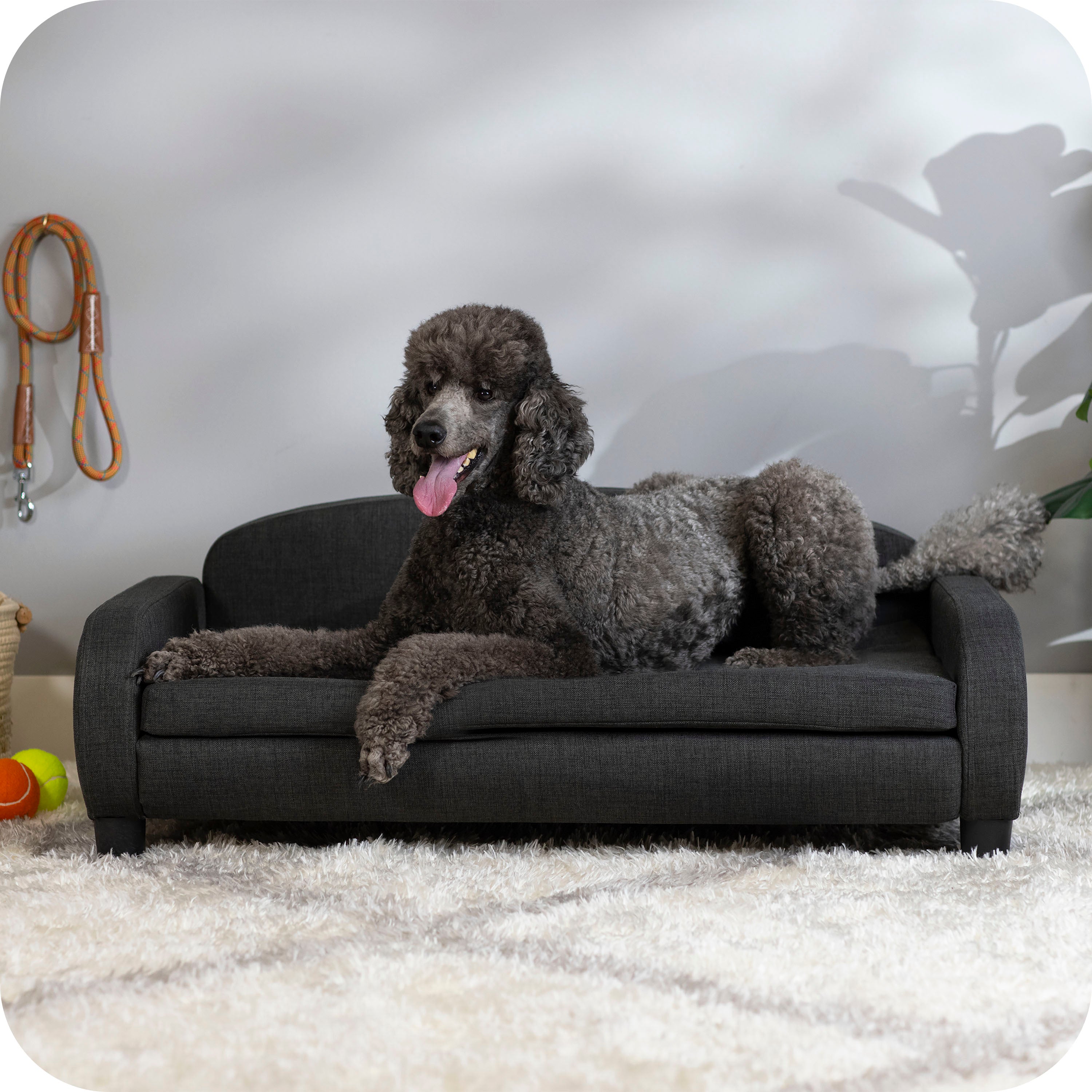Pet Sofa Bed <strong>Large</strong> for Medium and Large Dogs, Dark Gray 61110