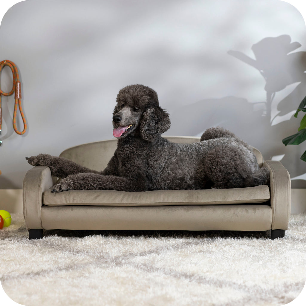 Pet Sofa Bed <strong>Large</strong> for Medium and Large Dogs, Ash 61111