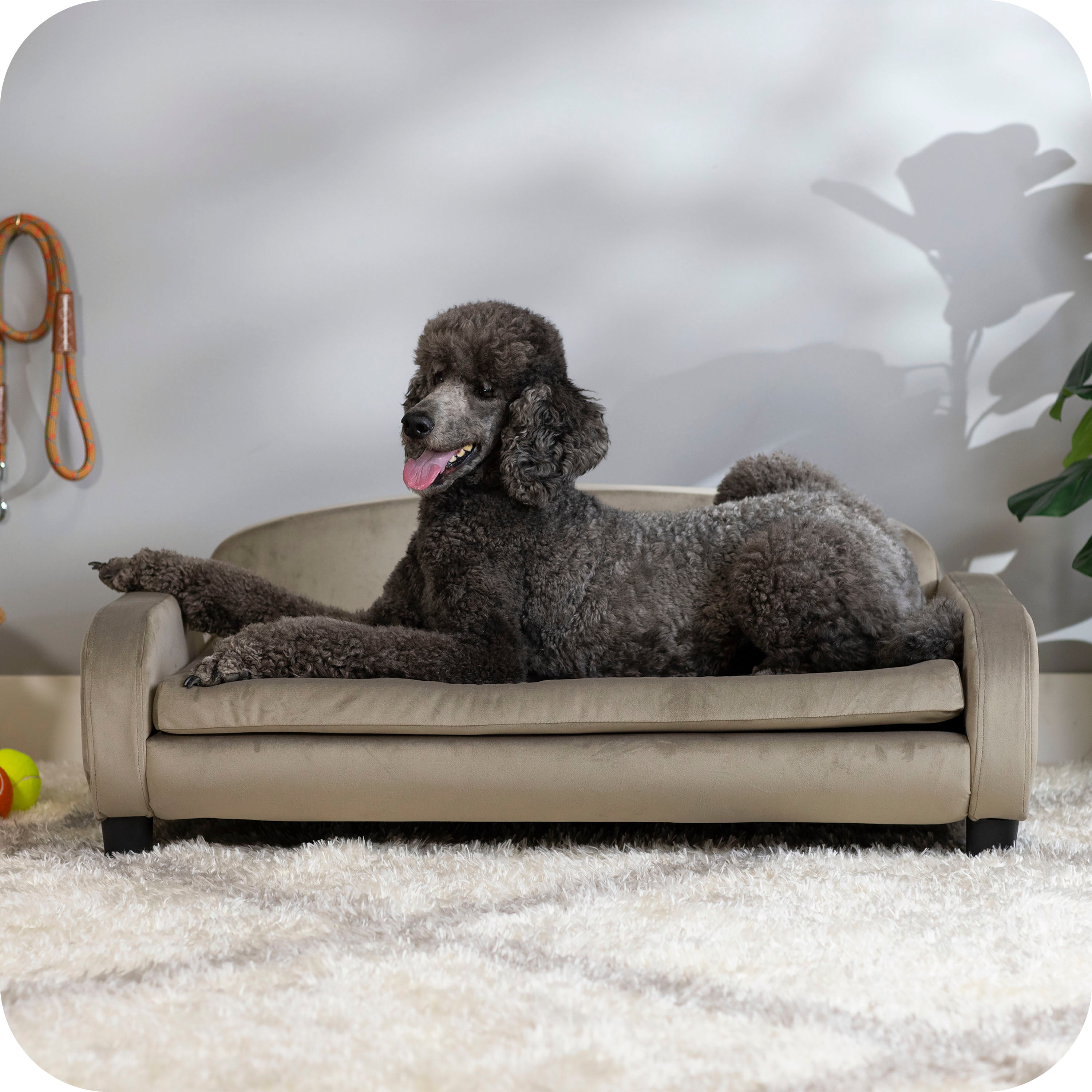 Pet Sofa Bed <strong>Large</strong> for Medium and Large Dogs, Ash 61111