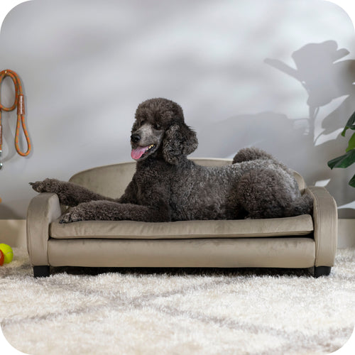 Pet Sofa Bed <strong>Large</strong> for Medium and Large Dogs, Ash 61111